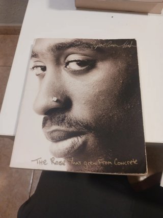 The Rose that Grew from Concrete, libro tupac