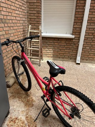 Bicicleta rosa