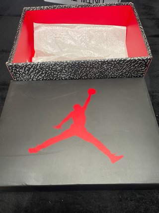 Jordan 3 Black Cat