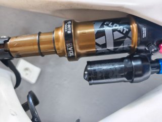 Orbea Occam