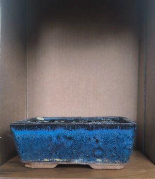 Maceta bonsai cerámica azul y negra