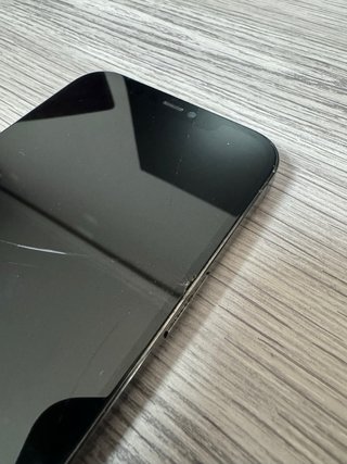 iPhone 13 Pro Max 256GB Grafito