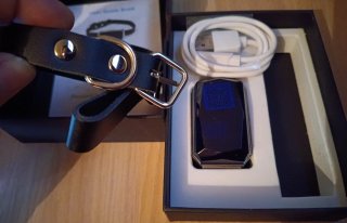 Tesoro GPS Tracker Mini G12P Perros Gatos