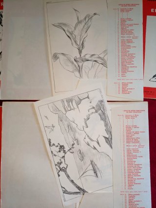 Lote 9 Carpetas Dibujo Artístico Emilio Freixas