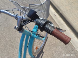 Bicicleta Paseo Niña 24"
