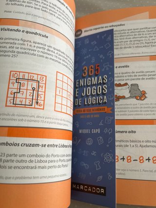 365 Enigmas e Jogos de Lógica (Portuguese Edition)