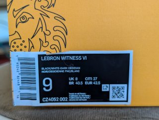 Nike LeBron Witness VI Negro/Blanco