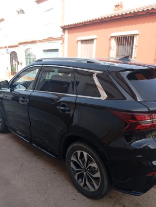 Coche Negro 5924 MWL