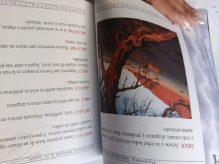 Libro Pequeña enciclopedia de los sueños