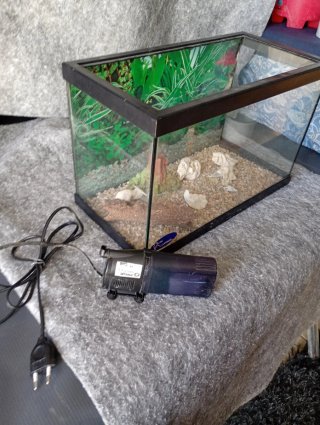 Pecera pequeña para peces