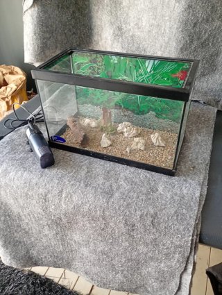 Pecera pequeña para peces