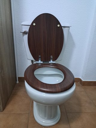 Inodoro WC Porcelana y Madera
