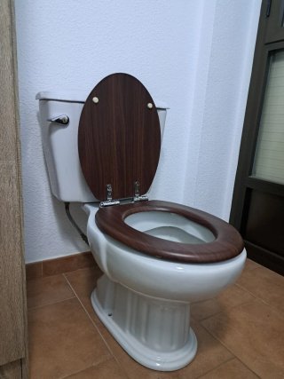 Inodoro WC Porcelana y Madera