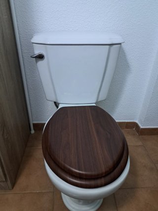 Inodoro WC Porcelana y Madera