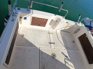 Barco Artaban 735
