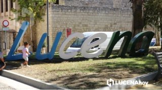 Se busca persona interna