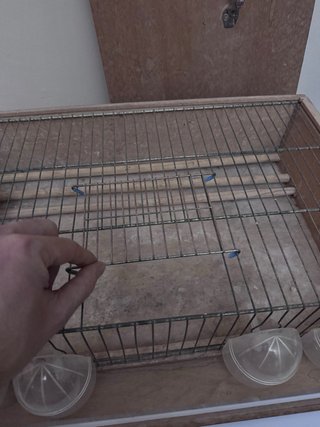 Transportín Jaula Pájaros Madera y Acrílico
