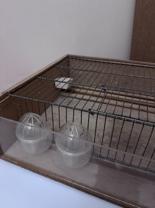 Transportín Jaula Pájaros Madera y Acrílico