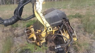 Procesadora Forestal Neuson 18002