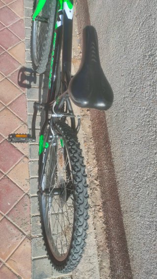 Bicicleta 24 Denbike Verde/Negra