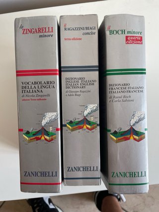 Lotto Dizionari e Vocabolari (Zanichelli, Inglese,