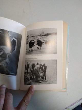 Historia del cine: Edición actualizada (Palabr...