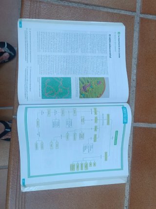 Biología, 2 bachillerato, Revuela Guía del prof...