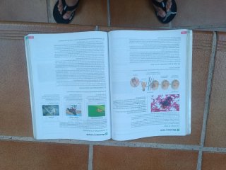 Biología, 2 bachillerato, Revuela Guía del prof...