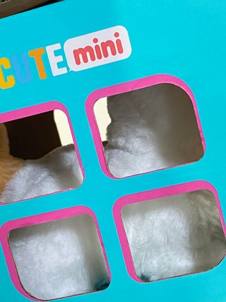 Cão Peluche Interativo Mini Fantástico