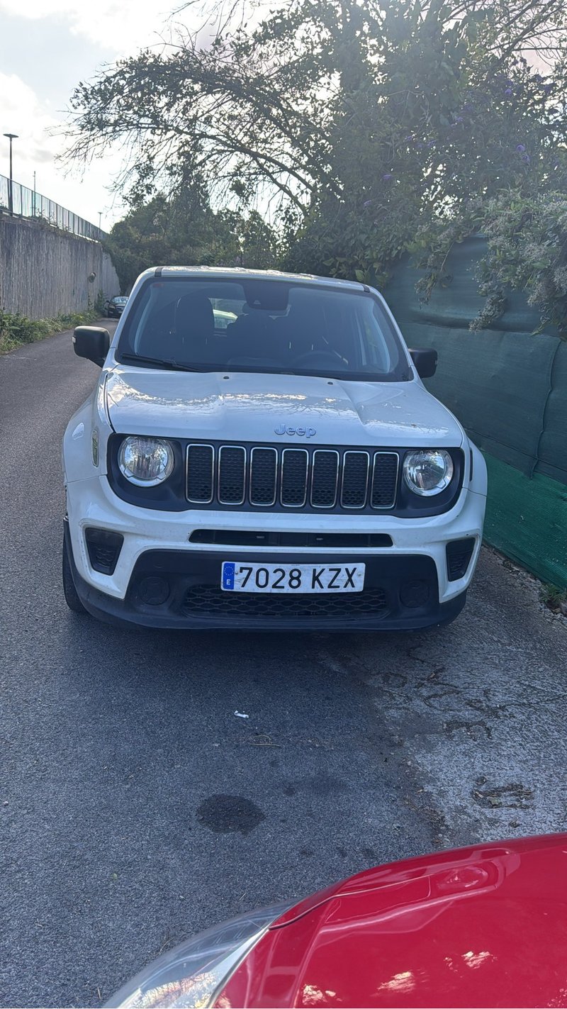 Jeep Renegade 2019 - foto 1