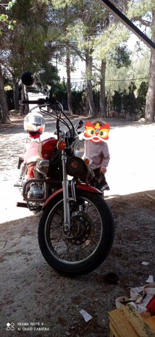 Yamaha Virago XV 250 cc