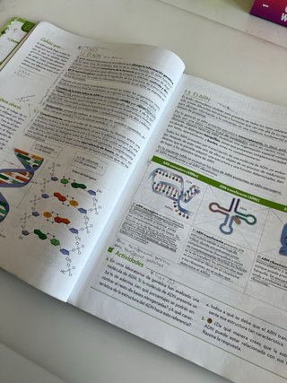 Biología y Geología 4 ESO