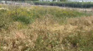 Terreno 3000m² con escrituras