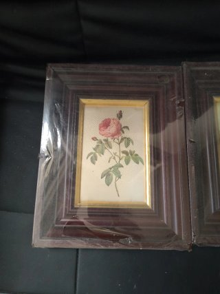 Juego de 2 cuadros decorativos