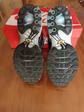 Zapatillas Nike Air Max Plus TN Talla 39