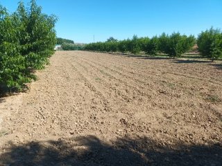 Finca rústica en Guadix