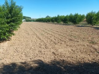 Finca rústica en Guadix
