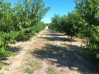 Finca rústica en Guadix