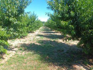 Finca rústica en Guadix