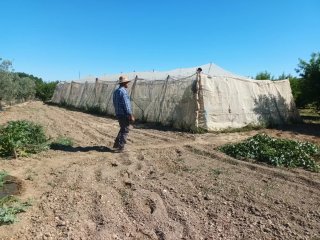 Finca rústica en Guadix
