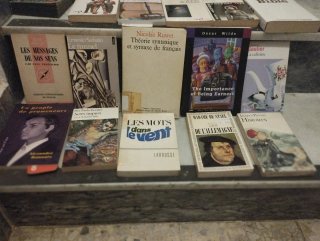 Colección libros en francés 50 libros