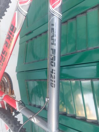 Bicicleta  roja y gris