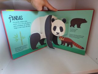Animales salvajes: 10 pop ups