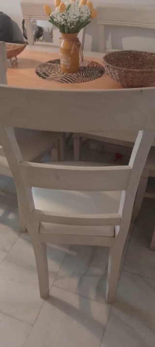 Mesa con 6 sillas