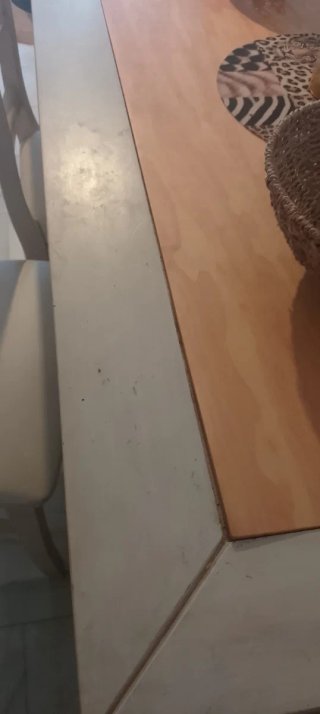 Mesa con 6 sillas
