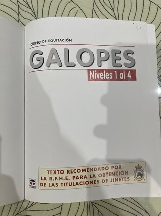CURSO DE EQUITACIÓN. GALOPES. NIVELES 1 AL 4