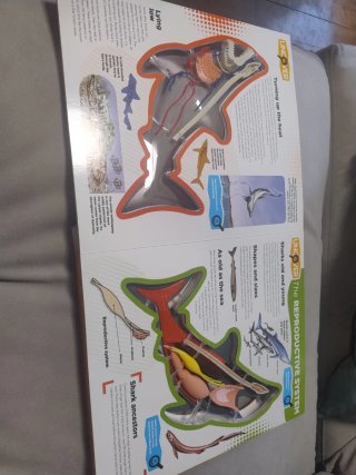 Libro interactivo 3D Uncover a Shark (en inglés