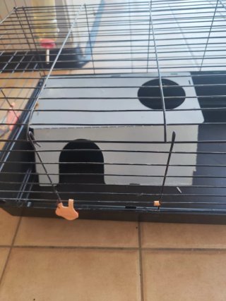 Jaula para conejos negra con accesorios