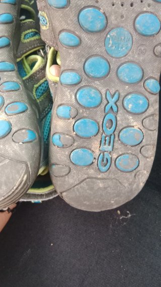 Geox Sandalias Gris y Turquesa