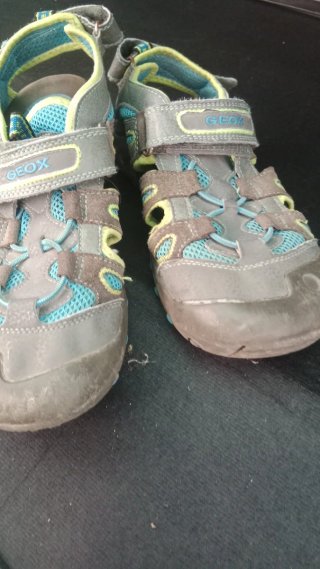 Geox Sandalias Gris y Turquesa
